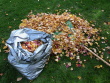 Bag of leaves